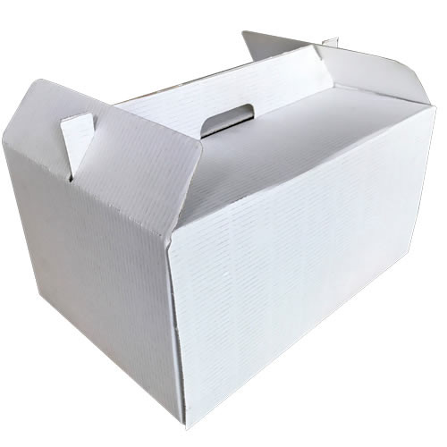 CAJA PICNIC 290X210X150 MM (50 UD)